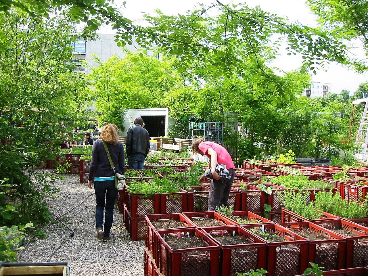 Prinzessinnengärten in Berlin